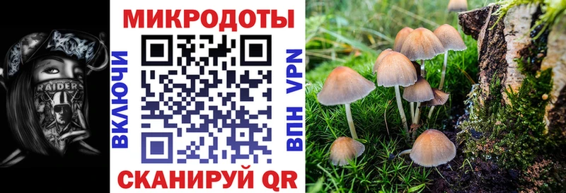 МЕГА как зайти  Поворино  Галлюциногенные грибы GOLDEN TEACHER  даркнет наркотические препараты  купить наркотики цена 